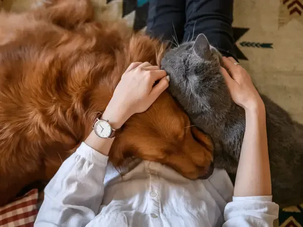 A happy dog and cat sitting beside Ayurvedic herbs, promoting natural pet wellness.