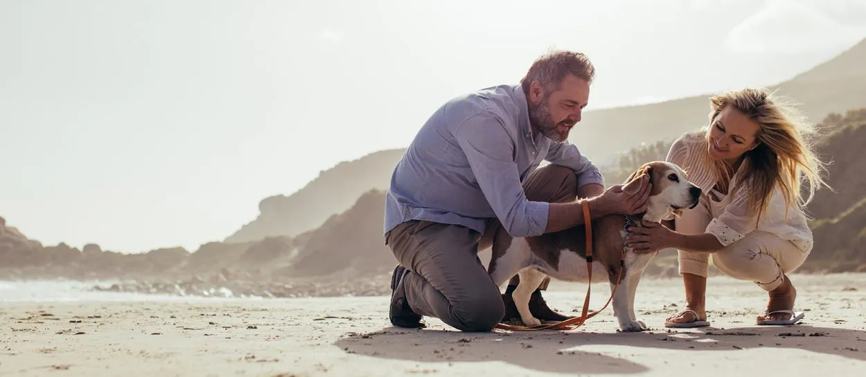 A happy and healthy pet sitting in a serene natural setting, surrounded by Ayurvedic herbs and Indofolk wellness ingredients, symbolizing holistic pet care and natural healing practices.