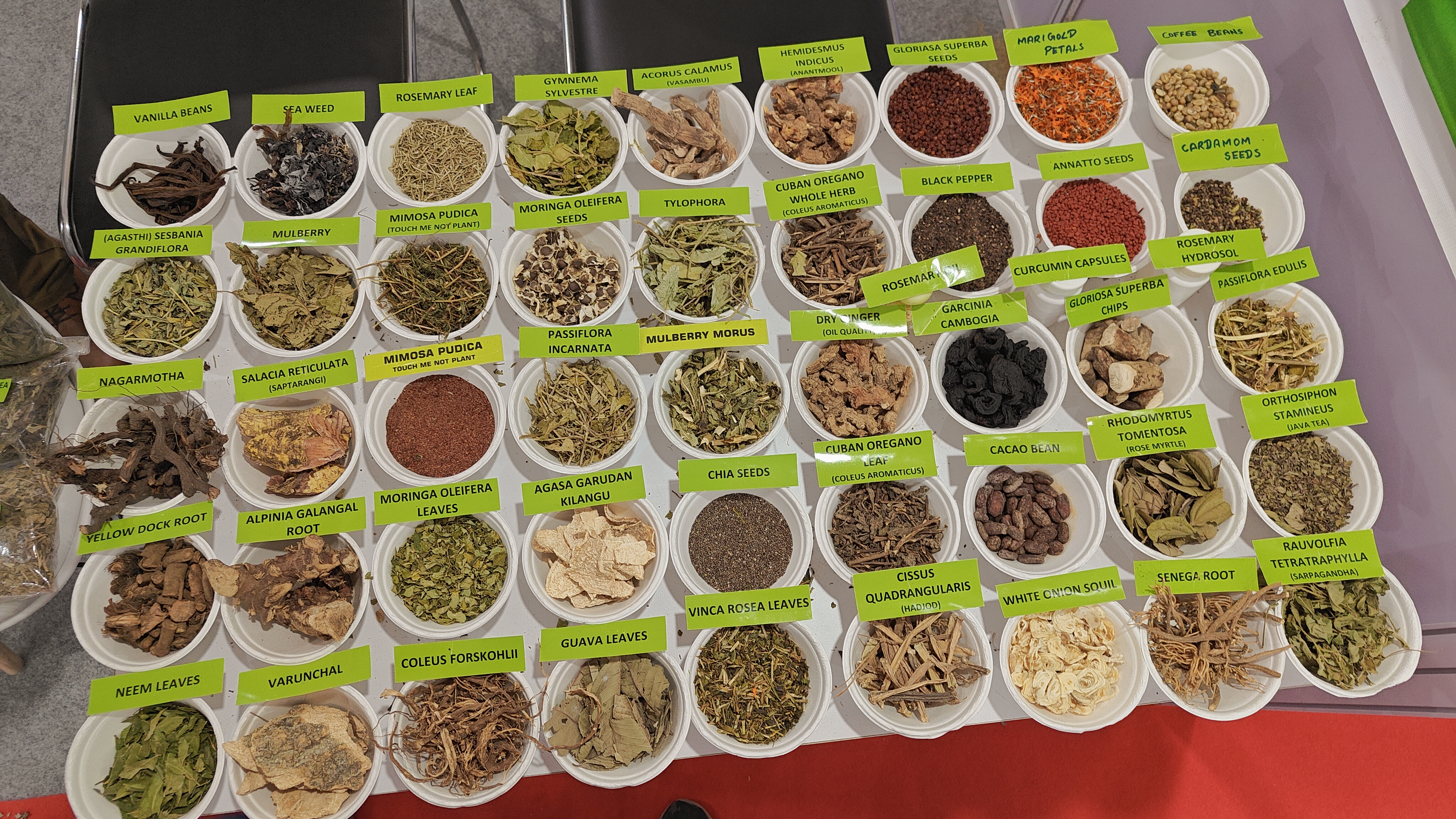 A display of premium Ayurvedic herbs and botanicals ready for export — IndoFolk Wellness